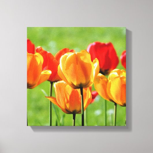 Gele en rode tulpen canvas afdruk (Voorkant)