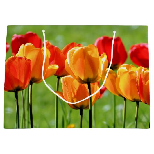 Gele en rode tulpen groot cadeauzakje (Voorkant)