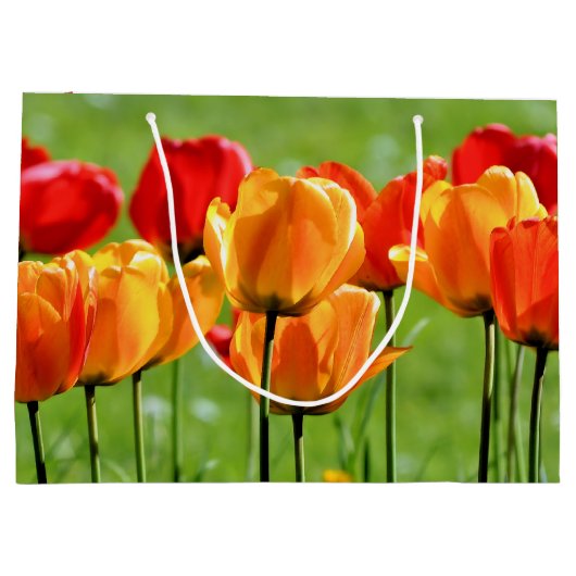 Gele en rode tulpen groot cadeauzakje (Achterkant)