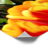 Gele en rode tulpen in de lente poster (Hoek)