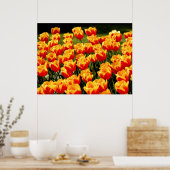 Gele en rode tulpen in de lente poster (Keuken)