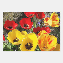 Gele en rode tulpen inpakpapier vel