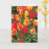 Gele en rode tulpen kaart (Gele Bloem)