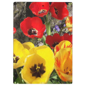 Gele en rode tulpen klembord (Achterkant)
