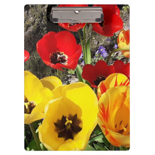 Gele en rode tulpen klembord (Voorkant)