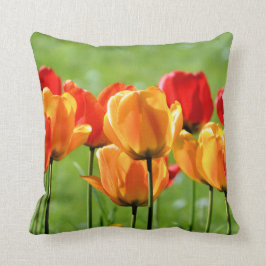 Gele en rode tulpen kussen