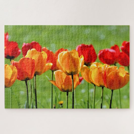 Gele En Rode Tulpen Legpuzzel (Horizontaal)