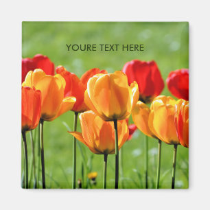 Gele En Rode Tulpen Magneet