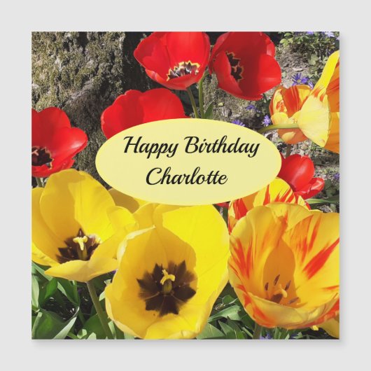 Gele en rode Tulpen Magnetic Birthday Card (Voorkant)