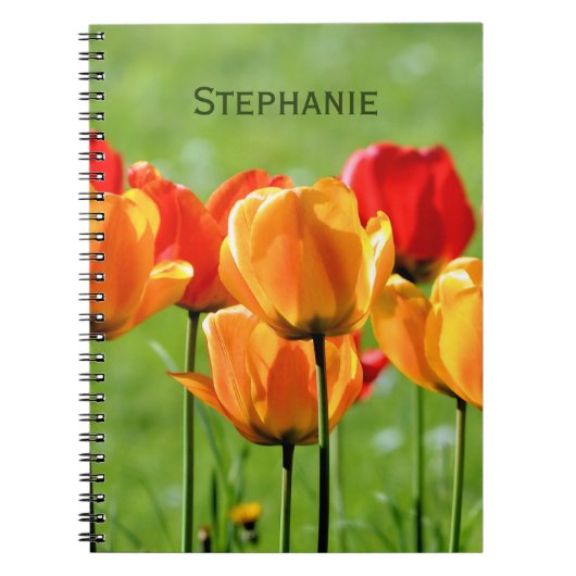 Gele En Rode Tulpen Notitieboek (Voorkant)