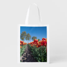 Gele en rode Tulpen op een veld