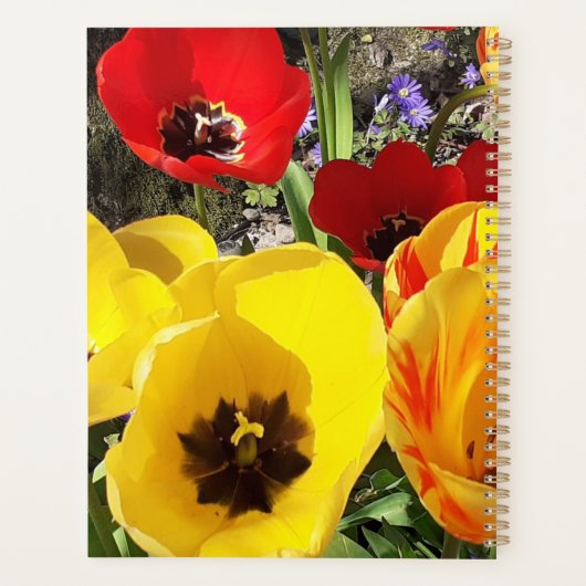 Gele en rode tulpen planner (Achterkant)