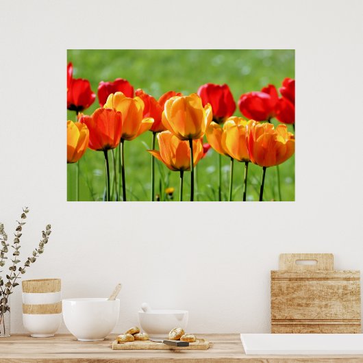 Gele en rode tulpen poster (Keuken)