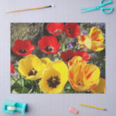 Gele en rode tulpen tissuepapier (Craft)