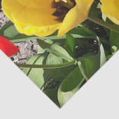 Gele en rode tulpen tissuepapier (Detail)