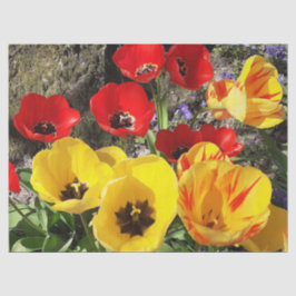 Gele en rode tulpen tissuepapier