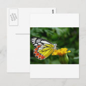 Gele en rode vlinder op de Gele Vloer Briefkaart (Voorkant / Achterkant)