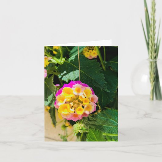 Gele en roze bloem foto kaart (Voorkant)