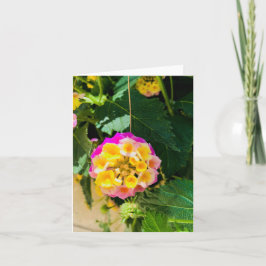 Gele en roze bloem foto kaart