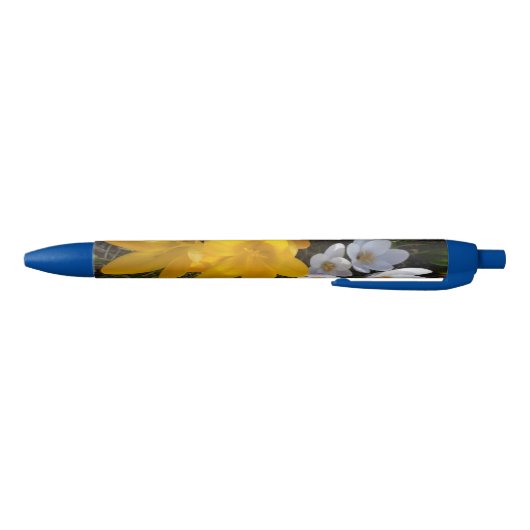 Gele en witte Crocus Flowers Pen (Bodem)