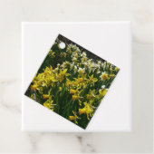 Gele en witte deffodils Spring Flowers Bedankjes Labels (In situ)