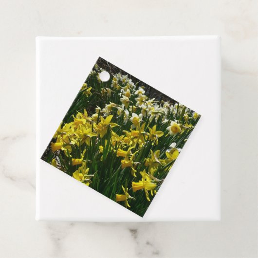Gele en witte deffodils Spring Flowers Bedankjes Labels (In situ)