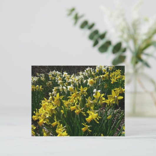 Gele en witte deffodils Spring Flowers Briefkaart (Staand voorkant)