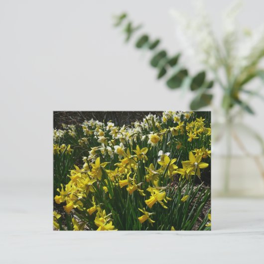 Gele en witte deffodils Spring Flowers Briefkaart (Staand voorkant)