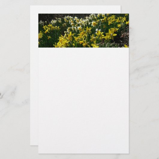 Gele en witte deffodils Spring Flowers Briefpapier (Voorkant / Achterkant)