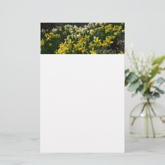 Gele en witte deffodils Spring Flowers Briefpapier (Staand voorkant)