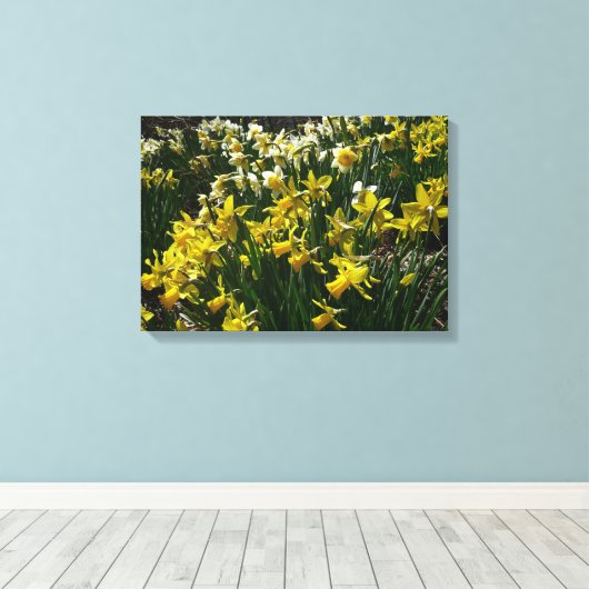 Gele en witte deffodils Spring Flowers Canvas Afdruk (Insitu (Houten vloer))