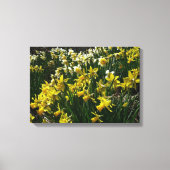 Gele en witte deffodils Spring Flowers Canvas Afdruk (Voorkant)