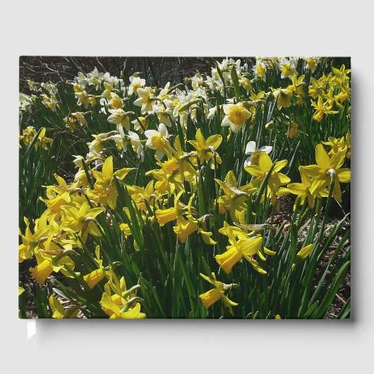 Gele en witte deffodils Spring Flowers Gastenboek (Voorkant)