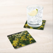 Gele en witte deffodils Spring Flowers Kartonnen Onderzetters (Insitu)