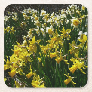 Gele en witte deffodils Spring Flowers Kartonnen Onderzetters