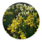 Gele en witte deffodils Spring Flowers Keramische Knop (Voorkant)