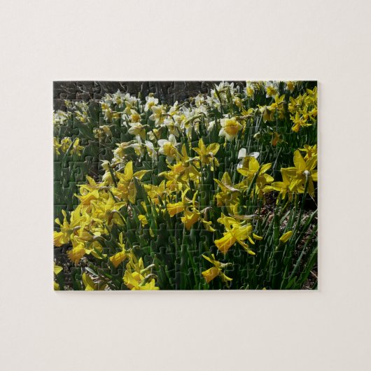 Gele en witte deffodils Spring Flowers Legpuzzel (Horizontaal)