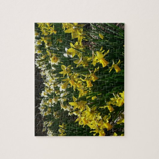Gele en witte deffodils Spring Flowers Legpuzzel (Verticaal)