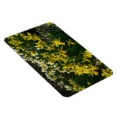 Gele en witte deffodils Spring Flowers Magneet (Rechterzijde)