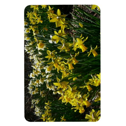 Gele en witte deffodils Spring Flowers Magneet (Verticaal)