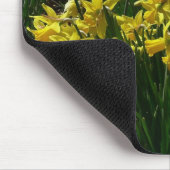 Gele en witte deffodils Spring Flowers Muismat (Hoek)