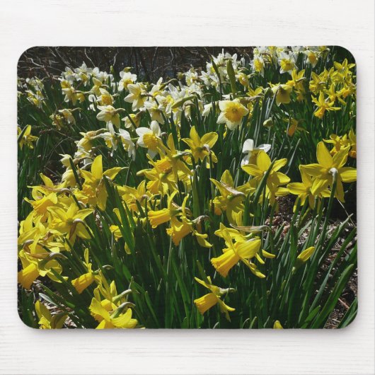 Gele en witte deffodils Spring Flowers Muismat (Voorkant)