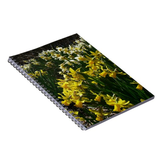 Gele en witte deffodils Spring Flowers Notitieboek (Rechterzijde)
