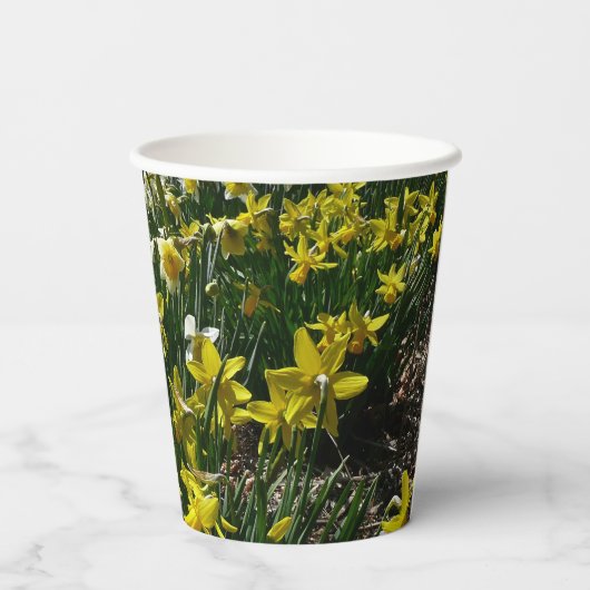 Gele en witte deffodils Spring Flowers Papieren Bekers (Achterkant)