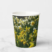 Gele en witte deffodils Spring Flowers Papieren Bekers (Links)
