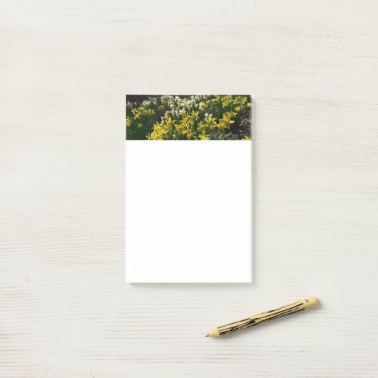 Gele en witte deffodils Spring Flowers Post-it® Notes (Op bureau)