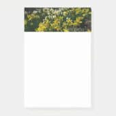Gele en witte deffodils Spring Flowers Post-it® Notes (Voorkant)