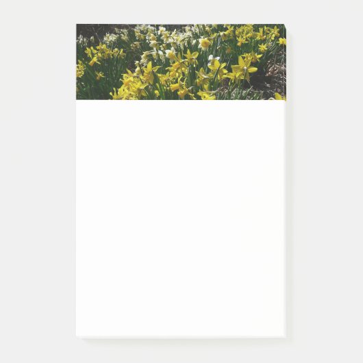 Gele en witte deffodils Spring Flowers Post-it® Notes (Voorkant)