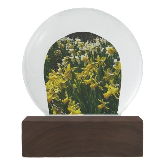 Gele en witte deffodils Spring Flowers Sneeuwbol (Achterkant)