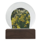 Gele en witte deffodils Spring Flowers Sneeuwbol (Voorkant)